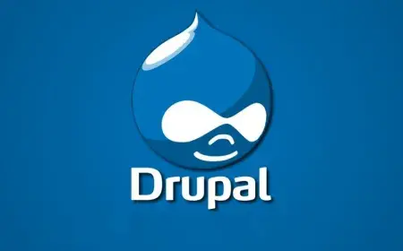 7 Reasons Why We Think Drupal Is the Best CMS