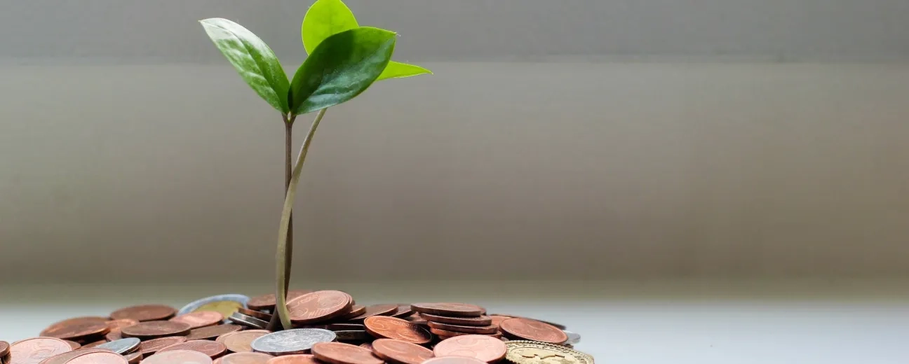 flower in pile of coins