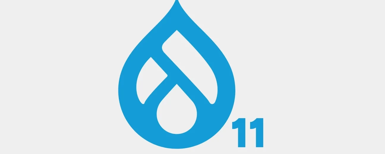 Why Drupal 11 is the Best Choice for Enterprise Websites