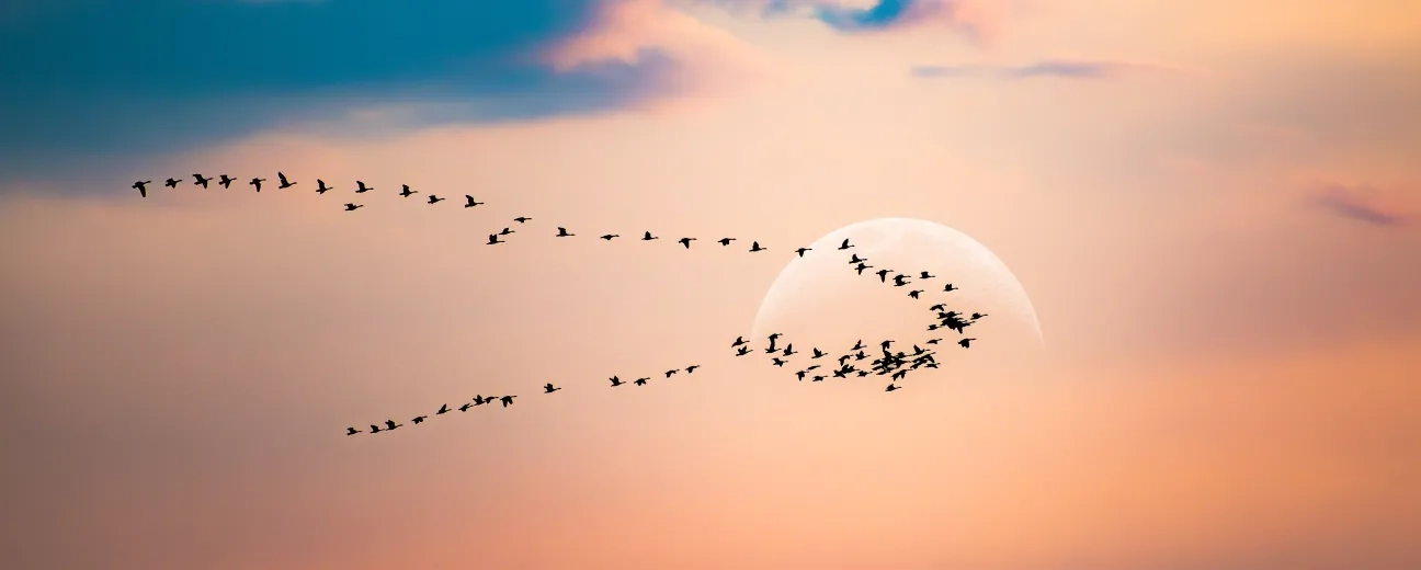 Drupal 8 migration