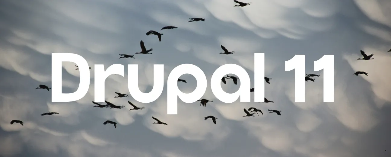 A flock of birds flying against a cloudy sky with "Drupal 11" text overlay, symbolizing migration and transition.