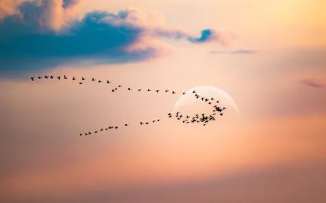 Drupal 8 migration