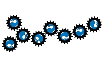 Drupal cms gear