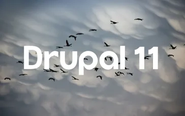 A flock of birds flying against a cloudy sky with "Drupal 11" text overlay, symbolizing migration and transition.